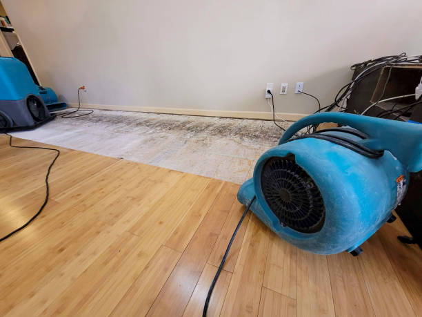 Professional Burst Pipe Water Damage technician working in Sweet Springs, MO
